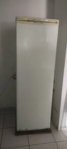 Freezer vertical