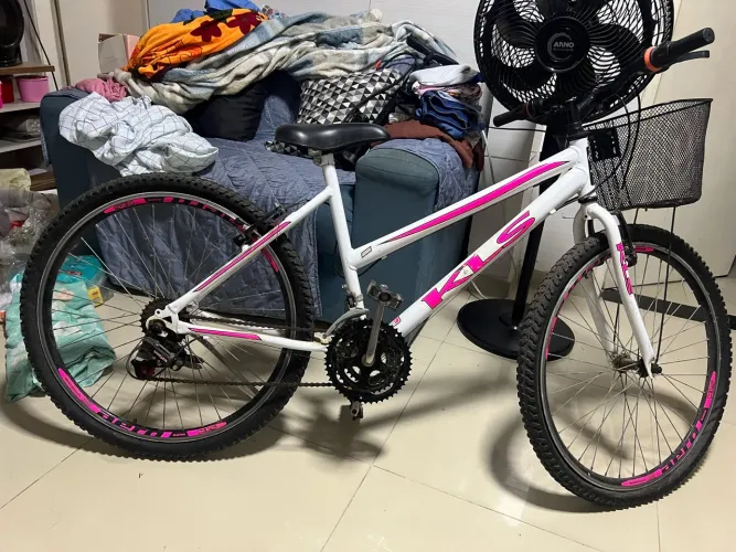 Bicicleta