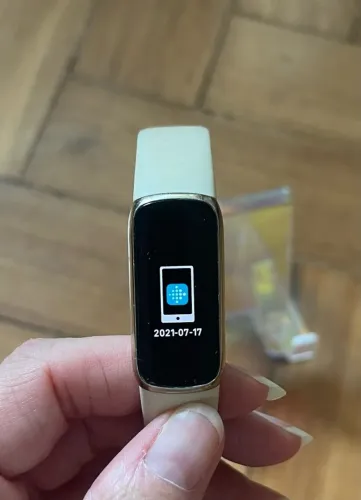 Fitbit Lux