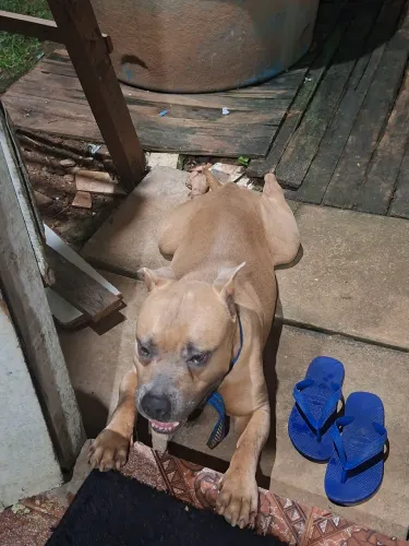 Doação responsável 