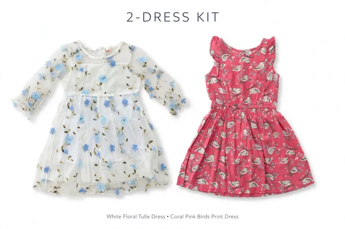 Kit 2 Vestidos Menina Tam 5 - Festa Tule Bordado + Passeio Passarinhos - Lote