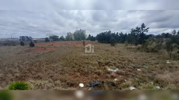 Terreno à venda em Pinhais | na Av. Jacob Macanhan | no Emiliano Perneta