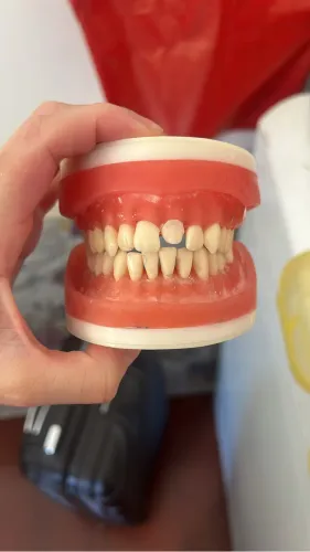 Manequim Prowen de periodontia e Orais dentistica