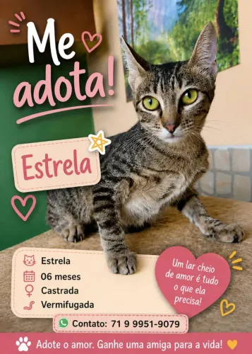 gatinha super carinhosa e cheia de amor para dar ?