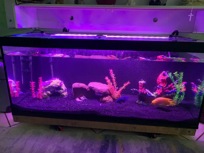 Vendo aquário 350 litros