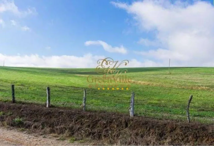 FAZENDA 65 ALQUEIRES NA LAPA/PR | DUPLA APTIDÃO | 45 ALQUEIRES EM PLANTIO