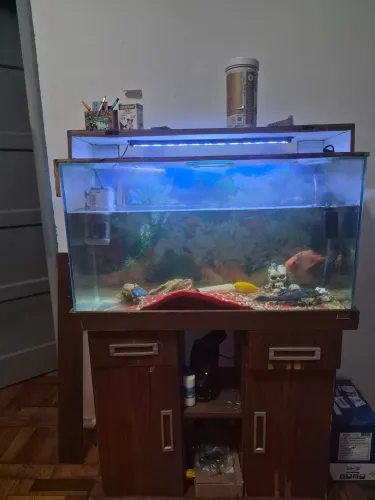 Aquário 80x40
