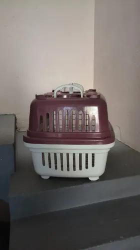 BAIXEIIII!Casinha de transporte para Dog