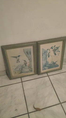 Par de Quadros / Gravuras de Aves