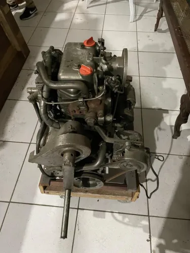 Motor Marinizado Yanmar 20 HP 1095 CC