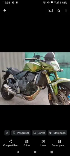 Hornet 2010