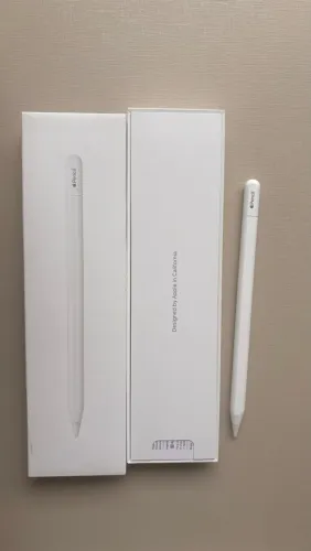 Apple Pencil Caneta (USB?C) Original