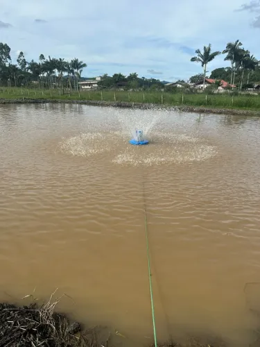 Venda de sítio