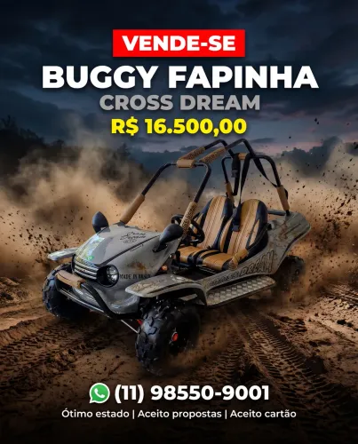 Vendo Buggy Fapinha 