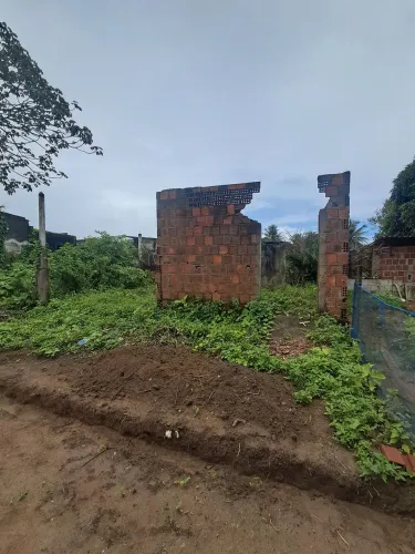 Terreno