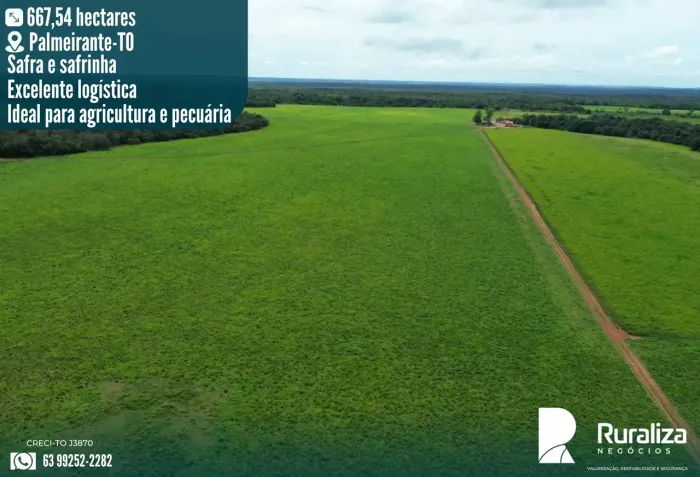 Imóvel para venda possui 667 metros quadrados em Zona Rural - Palmeirante - TO