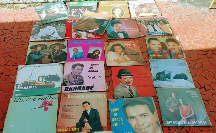 Lote com 21 Discos de Vinil Antigos - MPB, Samba, Sertanejo - SÓ VENDO O LOTE INTEIRO