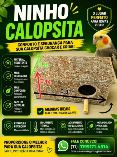 Ninho calopsita ecologico