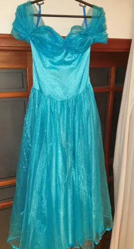 Fantasia Cinderela Adulto completa com tule profissional