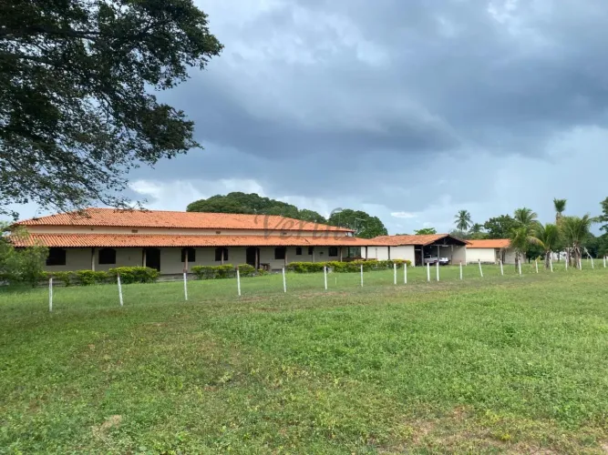 Fazenda à Venda 2500ha  Januária/MG