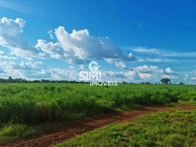 FAZENDA COM APTIDÃO AGRÍCOLA E COM ÓTIMO PRAZO PARA PAGAMENTO