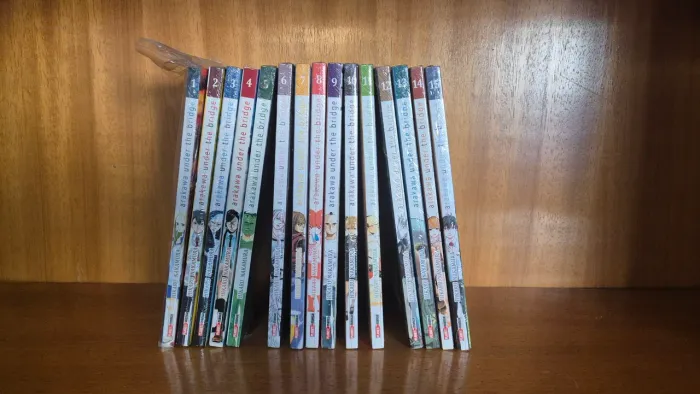 Coleção completa mangás Arakawa Under The Bridge 1 ao 15
