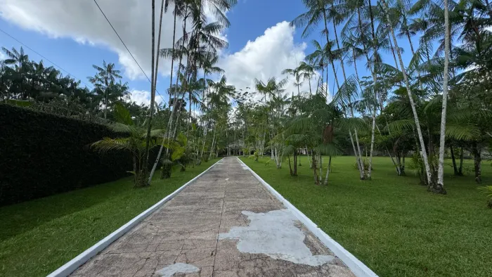 Sítio impecável à venda com 10.000m2 em Benfica , porteira fechada