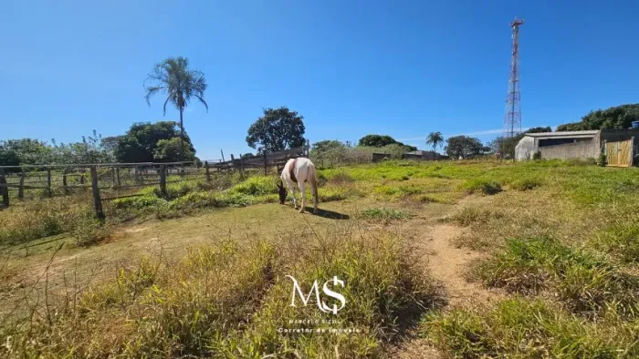 Fazenda- Engenho das Lages-DF-104 hectares  
