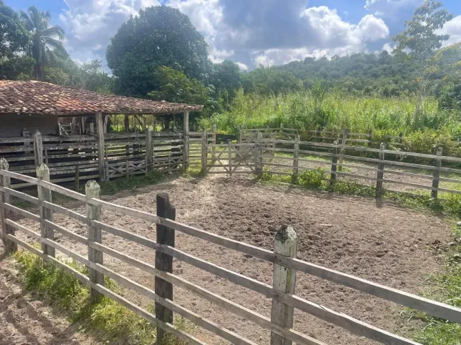 Vendo excelente Fazenda em catu Bahia o