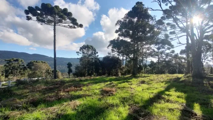 Linda chácara de altitude a venda em Urubici-SC, na localidade de Mundo Novo