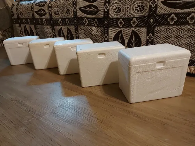 Kit com 6 caixas térmicas de 6 litros