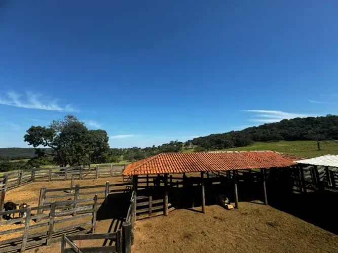 fazenda em Indiara-Goiás