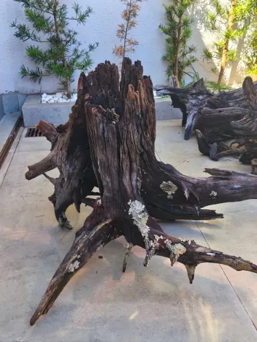 TRONCO PARA JARDINAGEM