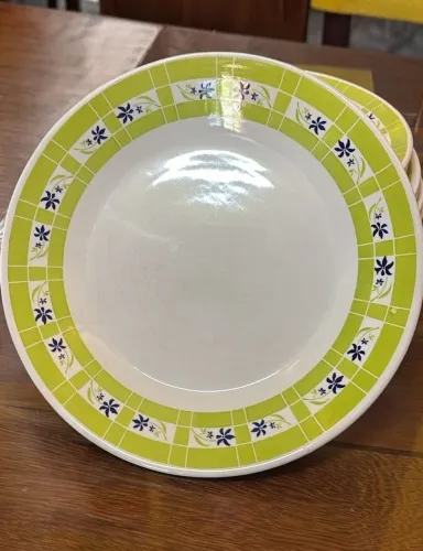 Pratos para eventos, brancos com borda verde - lote 111un