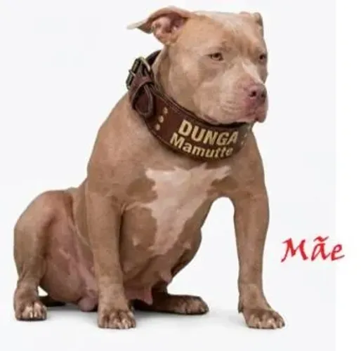 Pit monster 