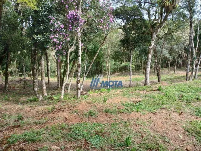 Chácara com 7,64 alqueires em Piraquara