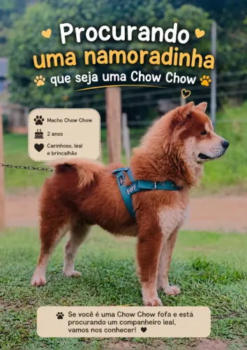 Atrás de uma namoradinha 