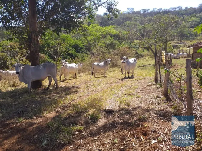 Sítio para Venda SITIO ESTANCIA MONTE OLIMPIO, Descalvado