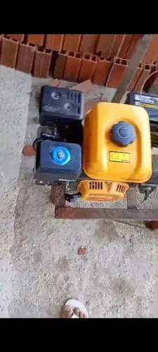 Forrageira Número 2 Com Motor A Gasolina