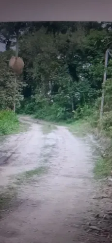 Chacara