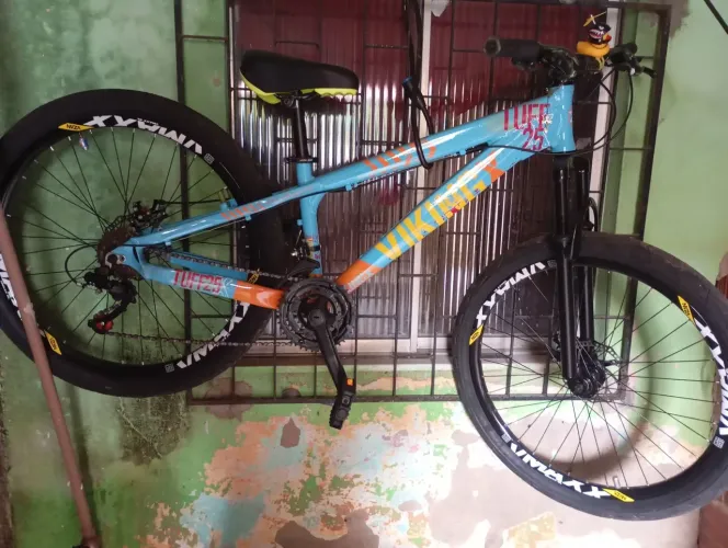 Bicicleta viking