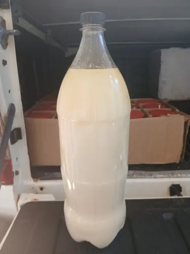 Banha de Porco Caseira 100% Pura - Garrafa de 2 Litros!