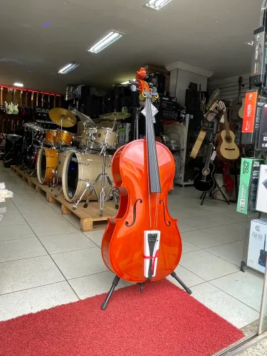 Violoncelo zelmer