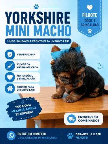 Yorkshire Terrier