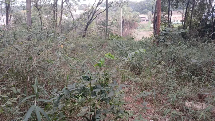Vendo lote em contagem, loteamento novo. 