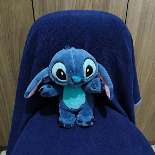 Stitch braços abertos 