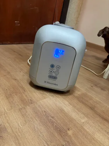 Umidificador eletrolux digital 110/220v