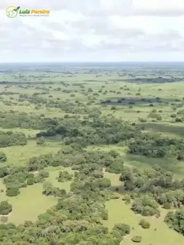 FAZENDA À VENDA EM CORUMBÁ MS 23.000 HECTARES (DUPLA APTIDÃO)