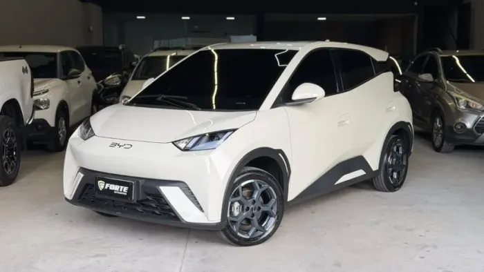 BYD Dolphin Mini GL 2026