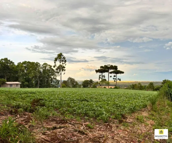 Sítio à Venda em Mafra - Estrutura Completa e Área Privativa